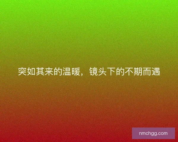 突如其来的温暖，镜头下的不期而遇